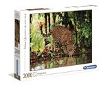 Puzzle 2000 pièces Clementoni High Quality Léopard