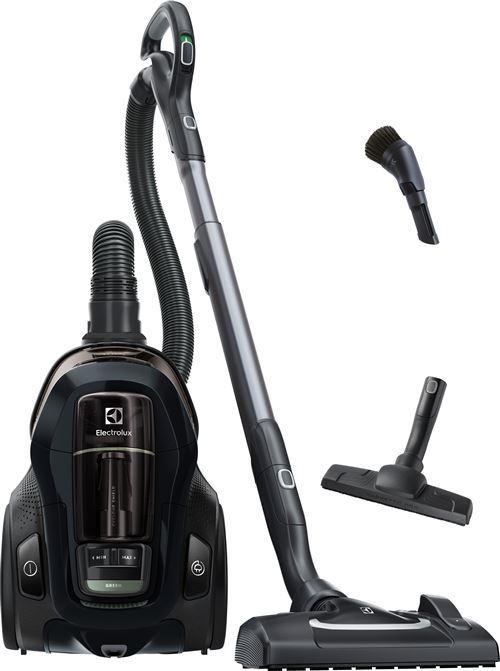 Aspirateur sans sac Electrolux Clean 600 EL61C2GRN 550 W Noir et