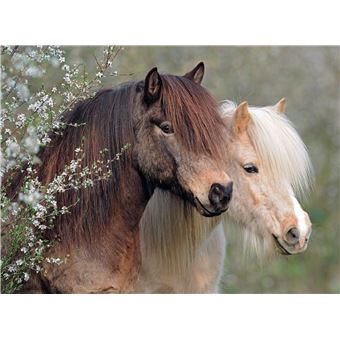 PUZZLE 150 P XXL - MAGNIFIQUES CHEVAUX