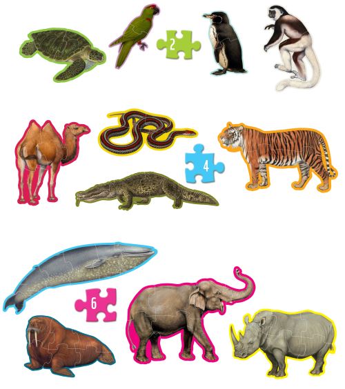 12 Puzzles Animaux des formes WWF