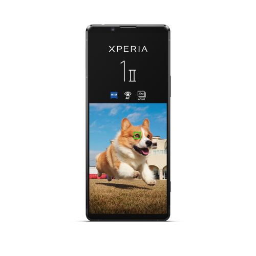 Sony XPERIA 1 II - 5G smartphone - RAM 8 Go / Internal Memory 256 Go - microSD slot - écran OEL - 6.5\