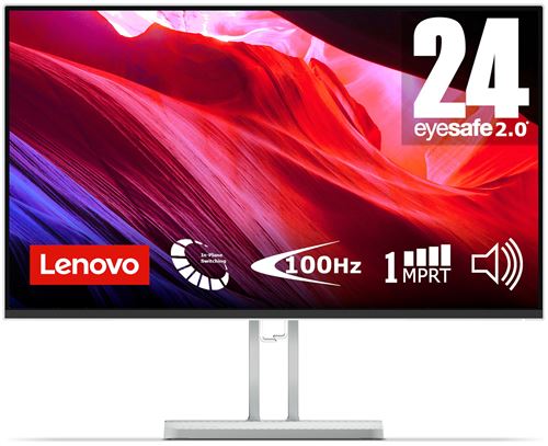 Ecran PC Lenovo L24i-4A 23,8 Full HD Gris nuage