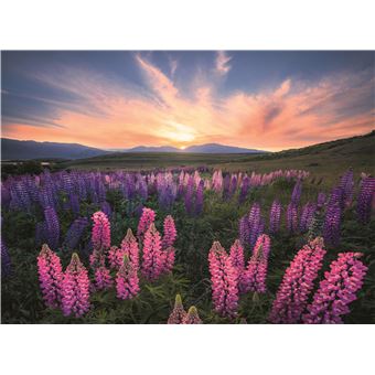 Puzzle Ravensburger Les lupins Nature édition 500 pièces