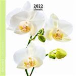 Calendrier Pictura 2022 Orchidées 16 x 16 cm