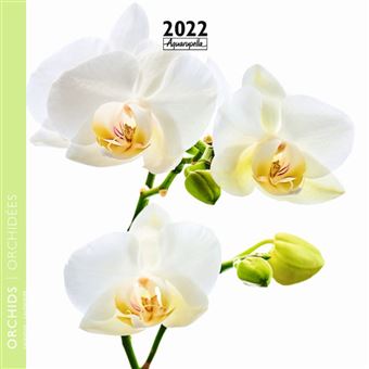 Calendrier Pictura 2022 Orchidées 16 x 16 cm