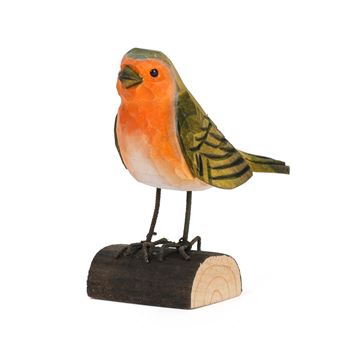 NATURE ROUGE GORGE SUR BUCHETTE