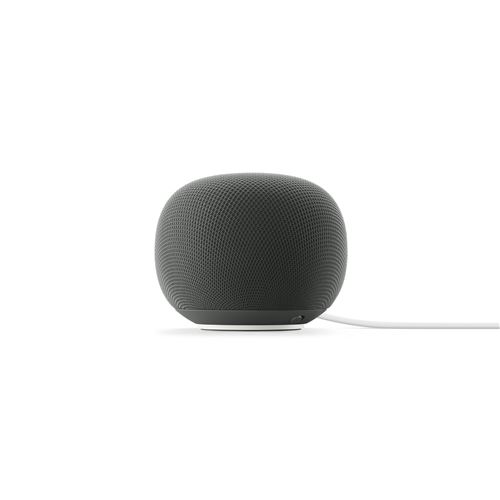 Google Altavoces Home Ovales