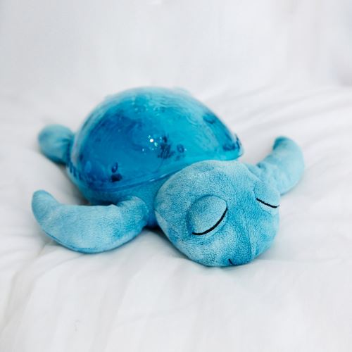 Veilleuse Tortue Aquatique Cloud B Produits Bebes Fnac