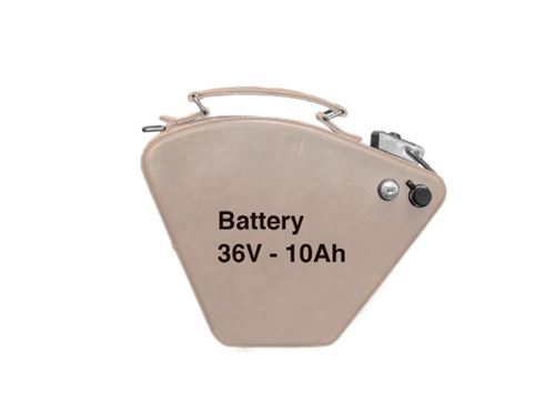 Batterie de vélo Rayvolt STD 36 V 10AH