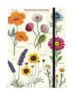 Carnet ligné LetterBox Cavallini Fleurs fermeture élastique 15 x 24 cm