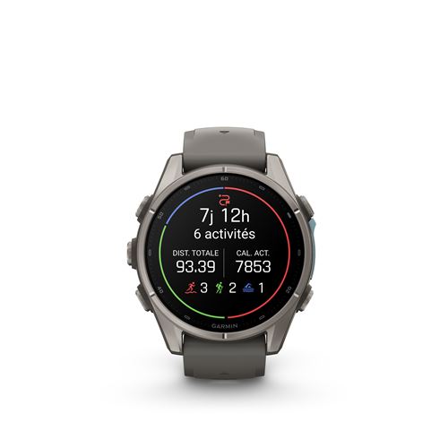 Montre Connectée Garmin Fenix 9 43 Mm Argent avec Bracelet Gris