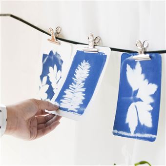 Kit créatif La Petite épicerie Mon Atelier Cyanotype