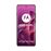 Pantone Sparking grape 