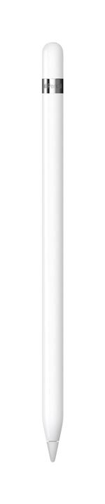 Apple Pencil 1st Generation - Stylet pour tablette - pour 9.7-inch iPad (6th gen); 10.2-inch iPad (7th gen, 8th gen, 9th gen); 10.5-inch iPad Air; 9.7-inch iPad Pro; 10.5-inch iPad Pro; 12.9-inch iPad Pro (1st gen, 2nd gen); iPad mini 5