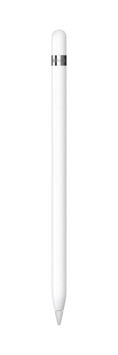Apple Pencil 1ʳᵉ Génération + Adaptateur Usb-C