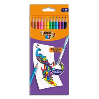 12 Crayons de couleur