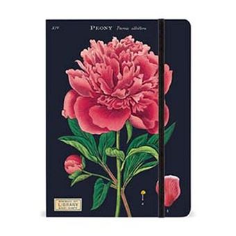 Carnet ligné LetterBox Cavallini Botanique fermeture élastique 15 x 21 cm