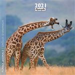 Calendrier Aquarupella Drôles d'animaux 2021 30 x 30 cm