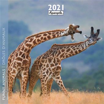 Calendrier Aquarupella Drôles d'animaux 2021 30 x 30 cm