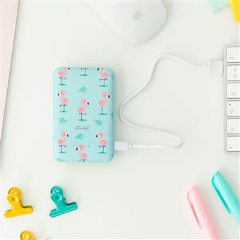 Batterie externe sans fil Mr. Wonderful Flamingos WMRWPWB001 5000 mAh Bleu