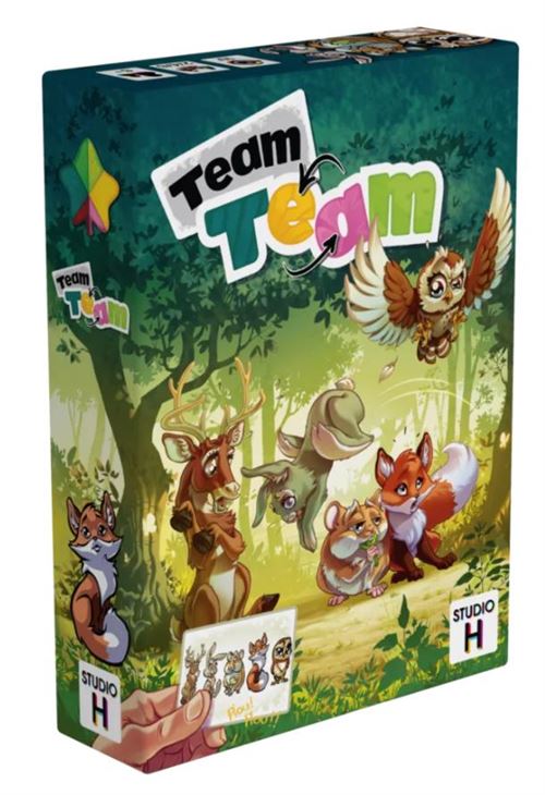 TEAM TEAM