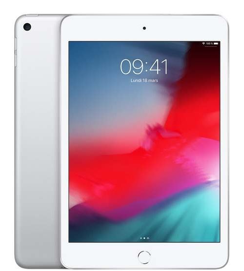 Apple iPad mini WiFiシルバー APPLE IPAD MINI WI-FI 256GB SILVER 7,9 INCH - IPad - Einkauf