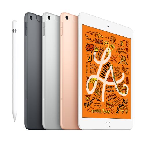 APPLE IPAD MINI WI-FI 256GB SILVER 7,9 INCH - IPad - Einkauf