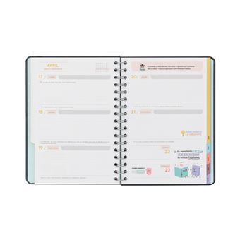 Agenda classique Mr. Wonderful 2022 2023 Semainier Mes résolutions mes projets et toute ma motivation