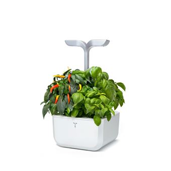 Potager d'intérieur connecté Véritable Exky Smart Blanc