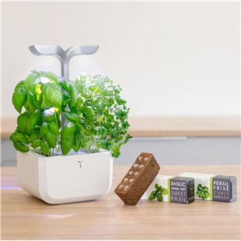Potager d'intérieur connecté Véritable Exky Smart Blanc