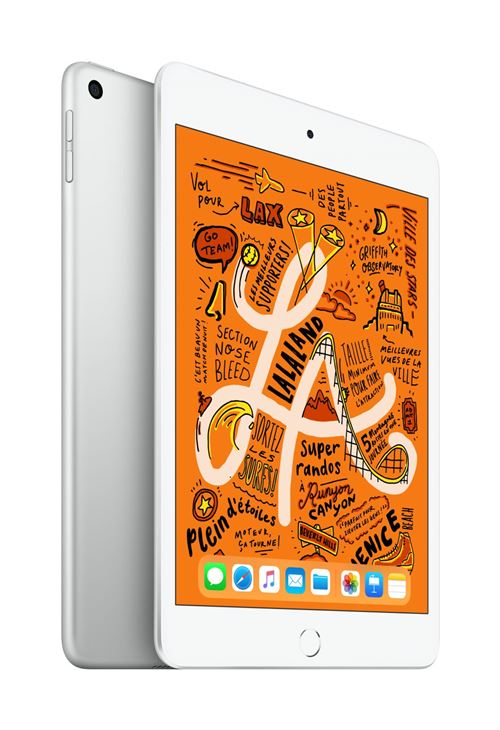 iPad Mini 64 Go WiFi Argent 7.9" 5 ème génération Début 2019