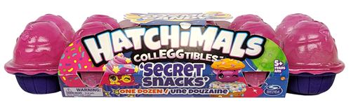 Boîte de 12 Hatchimals S8 Modèle aléatoire