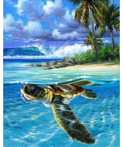 Peinture par numéro Figured'Art Tortue détendue 40x50 cm
