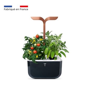 Potager d'intérieur connecté Véritable Exky Smart Copper Noir