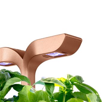 Potager d'intérieur connecté Véritable Exky Smart Copper Noir