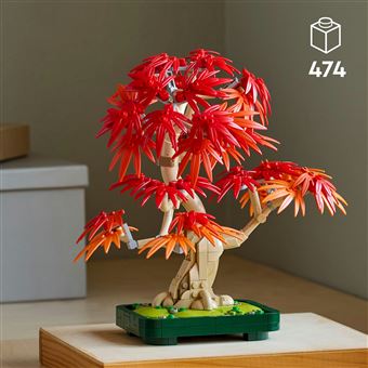 hakuro nishiki bonsai Salix integra 'Hakuro Nishiki' #10 standard at SPROUT HOME