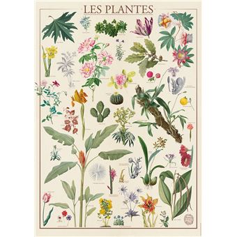 Puzzle 1500 pièces Nathan Les fleurs Muséum d'Histoire naturelle