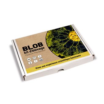Jeu éducatif Naturalys Coffret élevage de blob - 1