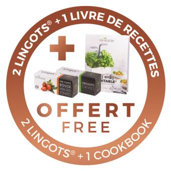 Pack Véritable Exky Smart Blanc avec 2 Lingots et 1 Livre de recettes