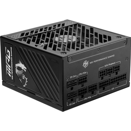 Alimentation PC modulaire MSI MPG A850GS PCIE5 850W 80 PLUS Gold noir