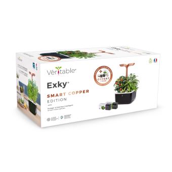 Pack Véritable Exky Smart Copper Noir avec 2 Lingots et 1 Livre de recettes