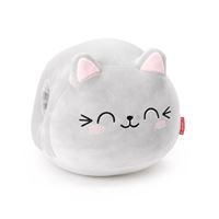 COUSSIN CHAT