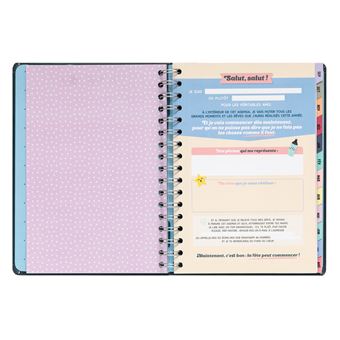 Agenda scolaire Mr. Wonderful 2021 2022 Classique Semainier C’est ici que commencent mes grandes réussites