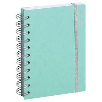 Agenda scolaire Exacompta 2022 2023 1 jour par page Forum Weta Aquarel Modèle aléatoire