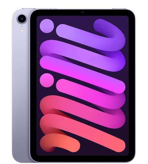 Apple iPad Mini 8,3" 64 Go Mauve Wifi 6 ème génération 2021