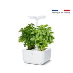 Potager d'intérieur connecté Véritable Exky Classic Blanc