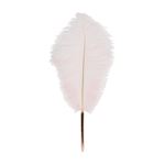 Stylo plume Le Studio Autruche Rose