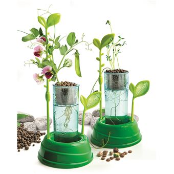 Jeu scientifique Clementoni Botanique et Hydroponie