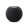 Apple HomePod mini - Haut-parleur intelligent - Wi-Fi, Bluetooth - Contrôlé par application - noir minuit