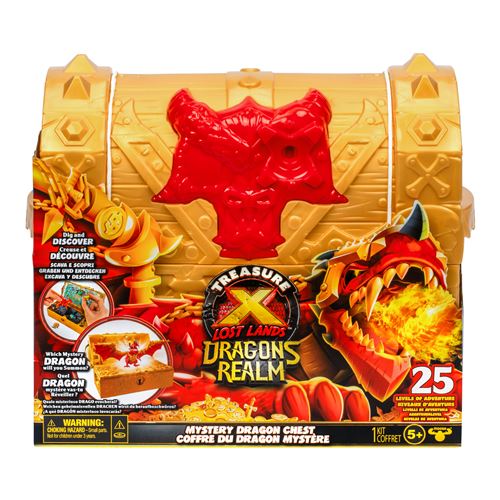 COFFRE AUX TRÉSORS DRAGONS REALM TRESOR X